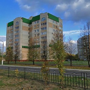 Shinnikov Avenue, 66, Nizhnekamsk: photo