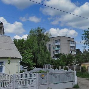 Hoholivs'ka Street, 55, Zhytomyr: photo