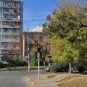 Vyshhorodska Street, 29, Kyiv: photo