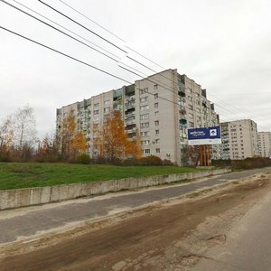 Дзержинск, Проспект Ленина, 1А: фото