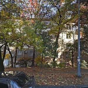 Gorkogo Street, 38 ، : صورة