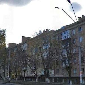 Oleny Telihy Street, 7, Kyiv: photo