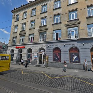 Horodotska vulytsia, 8, Lviv: photo