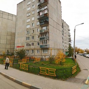 Нижний Новгород, Улица Ефима Рубинчика, 21: фото
