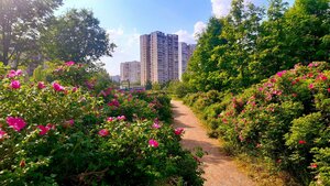 Svobody Street, No:91, Moskova: Fotoğraflar