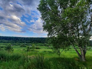 Tsentralnaya ulitsa, 12А, Novosibirsk Oblast: photo