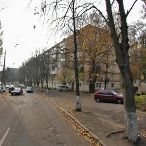 Yerevanska Street, 9, Kyiv: photo