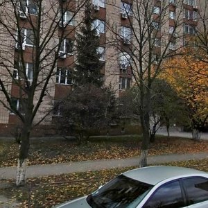 Holosiivska Street, 7к1А, Kyiv: photo