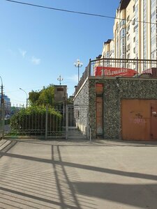 Nemirovicha-Danchenko Street, 169, Novosibirsk: photo