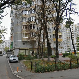 Mykhaila Kotelnykova Street, 31, Kyiv: photo