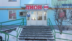 Ovchinnikova Street, 11, Perm: photo