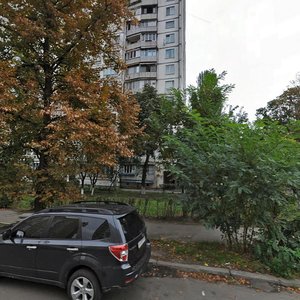 Metalistiv Lane, 1, Kyiv: photo