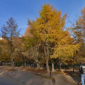 Svetly proyezd, 5, Kursk: photo