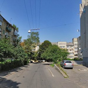 Vulytsia Korolova, 10 ، لفيف: صورة