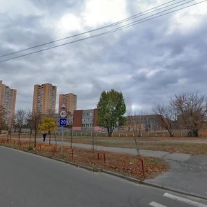 Mista Shalett Street, 1А, Kyiv: photo