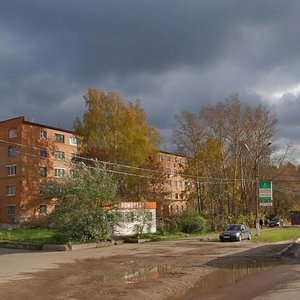 Павловский Посад, Южная улица, 16: фото