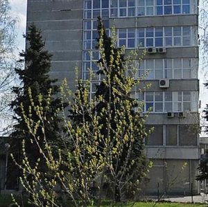 1st Frezernaya Street, 2/1к2, Moscow: photo