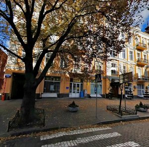 Bohdana Khmelnytskoho Street, 44, Kyiv: photo