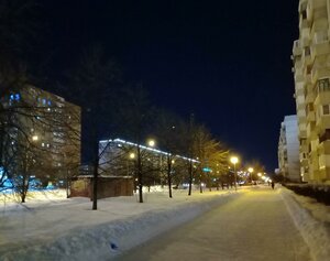 Avtostroiteley Street, 12, Togliatti: photo