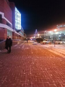 Marshala Zhukova Street, 4/1, Omsk: photo