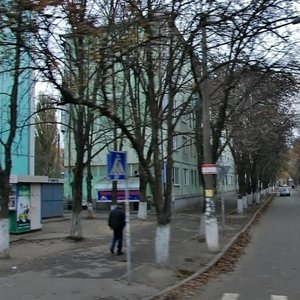 Martyrosiana Street, 20, Kyiv: photo