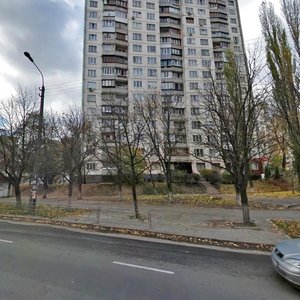 Holosiivska Street, 10, Kyiv: photo