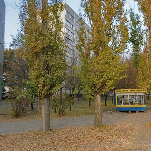 Vulytsia Spartaka Makovskoho, 6, Zaporizhia: photo