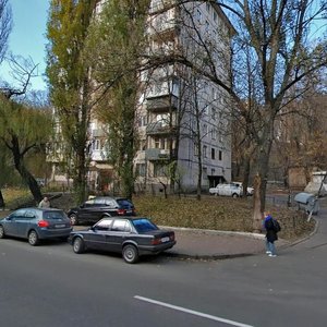 Mechnykova Street, 7А, Kyiv: photo