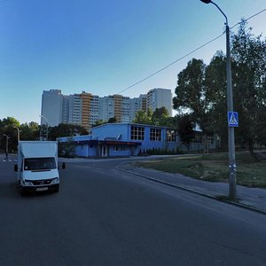 Nadii Aleksieienko Street, 114, Dnipro: photo