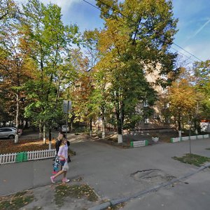 Saliutna Street, 19, Kyiv: photo