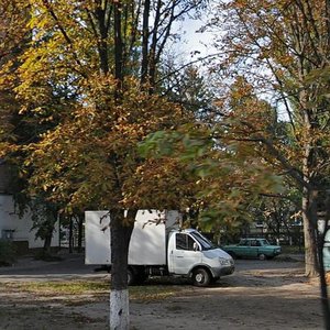 Ruzhynska Street, 11А, Kyiv: photo