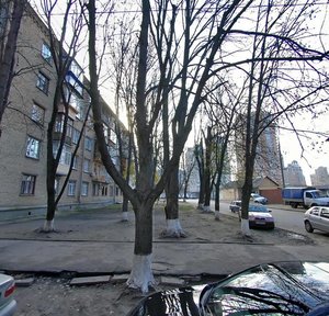 Pecherskyi Descent, 19, Kyiv: photo