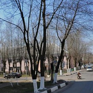 Zavodskaya ulitsa, 29, Balashiha: photo