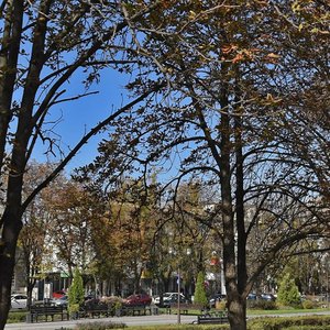 Krasnaya Street, 149, Krasnodar: photo