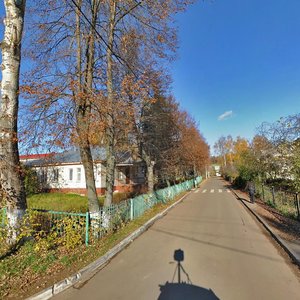 Dubrovitsy Village, 49 ، موسكو ومحافظة موسكو: صورة