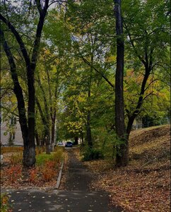 Rossiyskaya ulitsa, 55, Chelyabinsk: photo