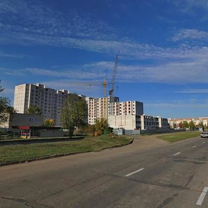 Набережные Челны, Проспект Дружбы Народов, 1: фото