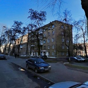 Simi Khokhlovykh Street, 6, Kyiv: photo