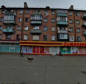 Kostiantyna Zaslonova Street, 13А, Kyiv: photo