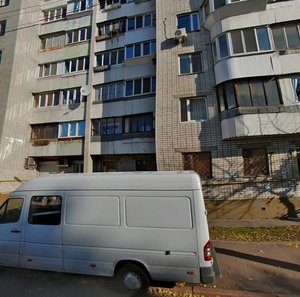 Mezhihirska Street, 50, Kyiv: photo