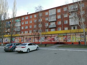 Омск, 4-я улица Челюскинцев, 95: фото