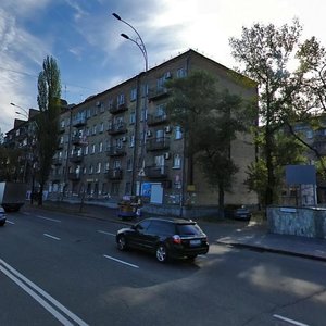Naberezhno-Luhova Street, 7, Kyiv: photo