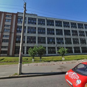 Novosyolov Street, 8 ، سان بطرسبرغ: صورة