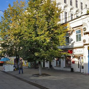 Moskovskaya Street, 65, Penza: photo