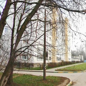 Borisa Kornilova Street, 3к3 ، نيجني نوفغورود: صورة