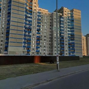 Petra Hryhorenka Avenue, 9, Kyiv: photo