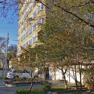 Chelyuskintsev Street, 24 ، : صورة