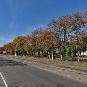 Dehtiarivska Street, 46, Kyiv: photo