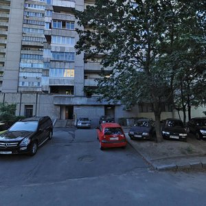 Pysarzhevskoho Street, 7, Dnipro: photo