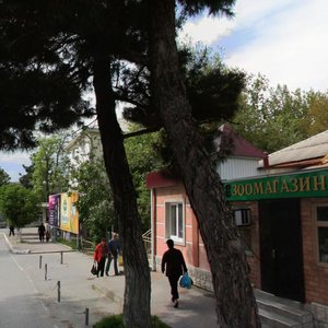 Gorkogo Street, 10 ، : صورة